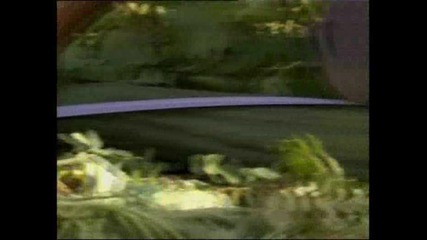 Гигантски слънчоглед и краставица се борят за Гинес