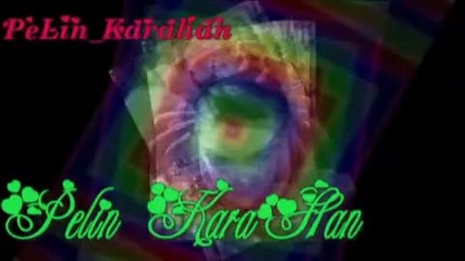 Za konkursa na koteto_352