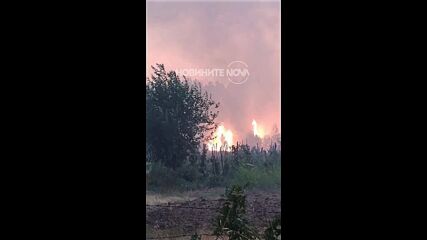 Голям пожар гори във Видинско