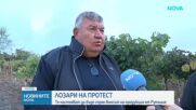 Гроздето у нас остава необрано, лозари излизат на протест в Свиленград