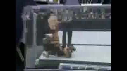 Wwe 06.03.09 Eve Torres vs Maryse