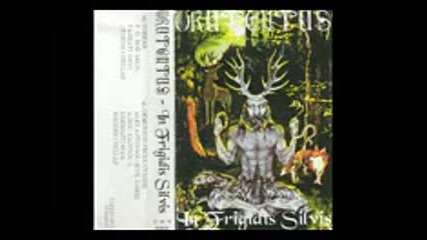 Drutentus - In Frigidis Silvis ( full album Ep Demo )