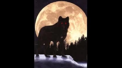Bate Pesho feat. Tina - Wolf