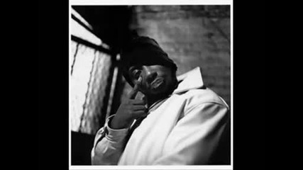 Ol Dirty Bastard - Brooklyn zoo