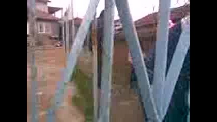 Video002
