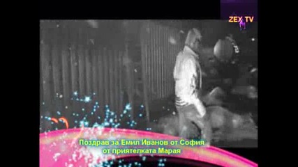 azis zex tv 