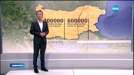 Съкращават 8000 души заради мораториума за износ на дървесина