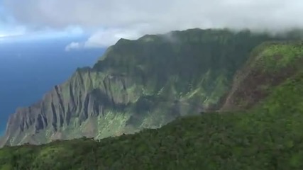 Красотата на Хавайските гори - Beautiful Hawaiian Forest
