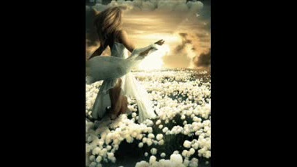 Mtj Feat.soraja Fly With - You 
