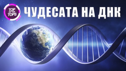 Топ 10 интересни факта за ДНК