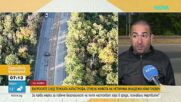 Когато скоростта убива - как се стигна до трагедията в Плевен с четири жертви
