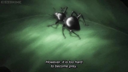 Terra Formars - 11 (720p)