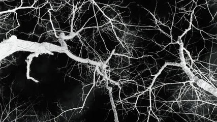 Line Of Sight - Pale Shelter (james Warren Remix)