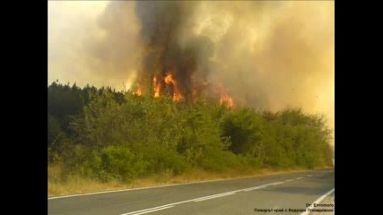 Пожарите В България