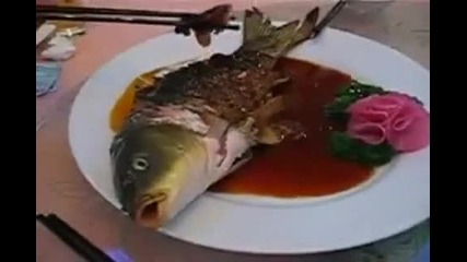 Най - прясно сервираната риба 