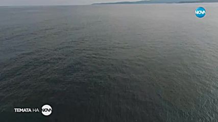 Темата на NOVA: Колко са потъналите кораби по дъното на Черно море?