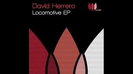 David Herrero - Locomotive (original Mix)