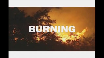 Did You Know ? - Save the Forests, Save the Climate 