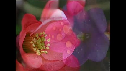 Paul Mauriat - Isadora