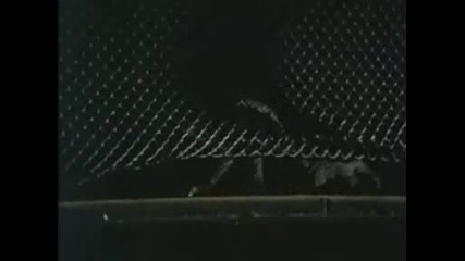 Wild Style (1983) Part 2 of 10