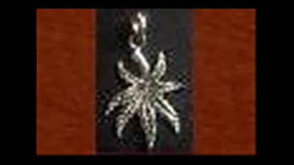 Dmr 3.wmv