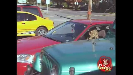 Hidden Camera - Girlfriend Swap