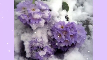 Today, December 1 ... ... (music Giovanni Marradi) ... ...