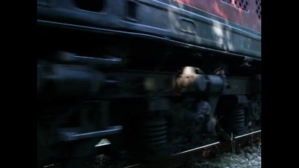преди Царево сливе