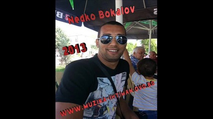 H I T Nedko Bakalov - Mega Hit 2013 mp3. P L A M E N C H O