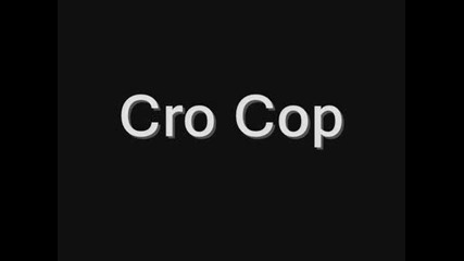 Fedor или Cro Cop