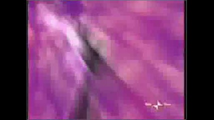 Winx Club