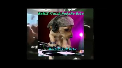 mustafa &_ zvonko demirovic 2011-video-u zivo-ola isi kale bala-ramiz-italia-pesaro-brle.av