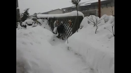Andreea Banica [snow]