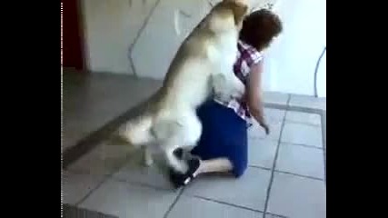 Куче се опитва да .. играе с жена 