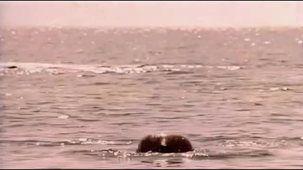 Sandra - One More Night