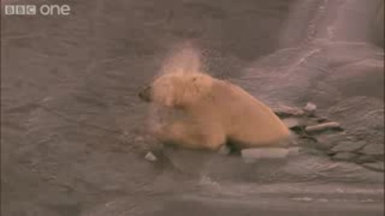 Polar Bear on Thin Ice - Natures Great Events: The Great Melt 