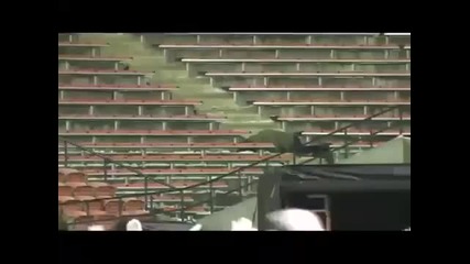 Луд фен се преби от много кълчене
