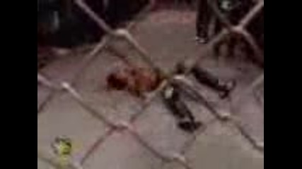 Hell in the Cell The Undertaker vs. Shawn Michaels 