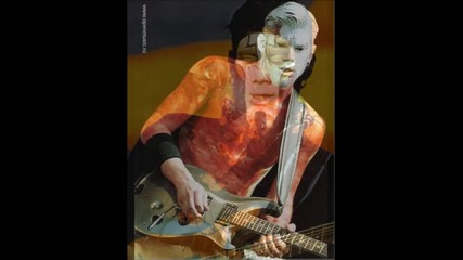 Limp Bizkit (wes Borland)