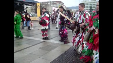 с.садовик