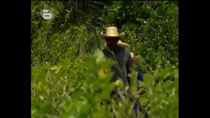 Survivor Bg - Филипините *23.09.09* (част 1)