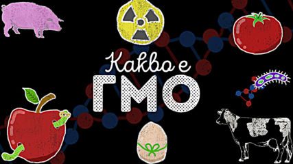 Знаете ли какво е ГМО наистина?!