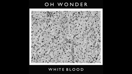 Бг Превод! Oh Wonder - White Blood