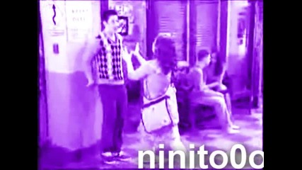 Wowp / / Purple Widd
