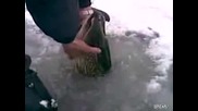 Как се лови риба в Русия