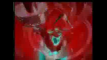 # Pet Shop Boys - Go west ( Extended Version )