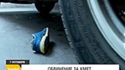 В "Здравей, България" на 7 октомври очаквайте
