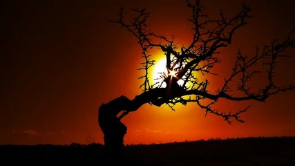 Gaiana - Soul Of The Sun