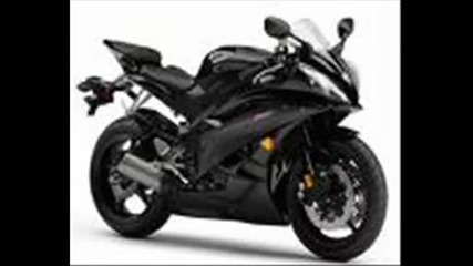 Motori
