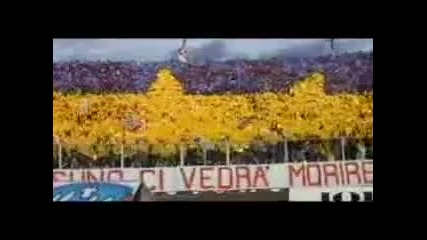 Fiorentina - La Curva Fiesole